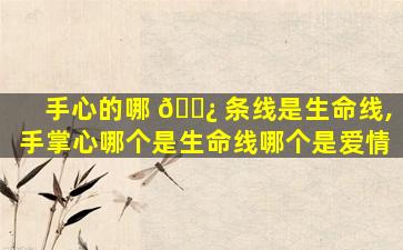 手心的哪 🌿 条线是生命线,手掌心哪个是生命线哪个是爱情